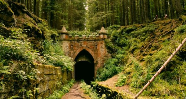 Observations on Novels and the Reader’s Life – Crispin: The End of Time by Avi