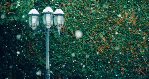 The Inside is Bigger than the Outside: A Christmas Thought from Narnia and for Our World Too
