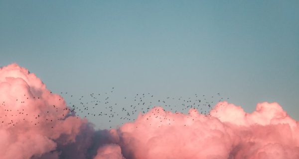 Cloud Children