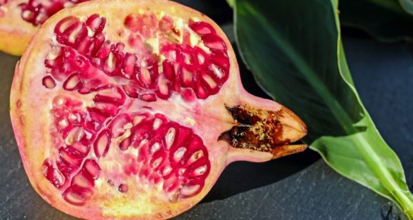Poppy and Pomegranate