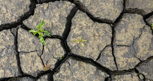 Penetrating the Clay: Lenten Devotions in the Christian Life