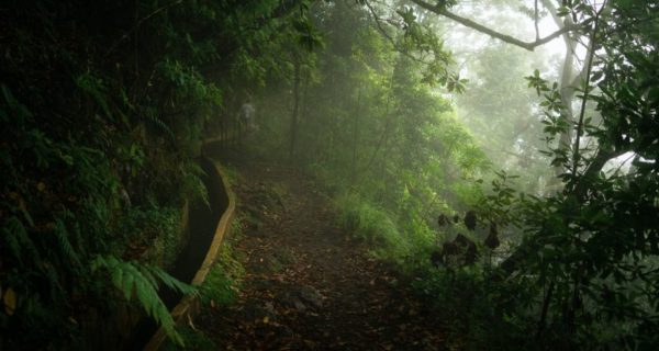 The Romance of Ergon and Thallasai: A Silmarillion Poem