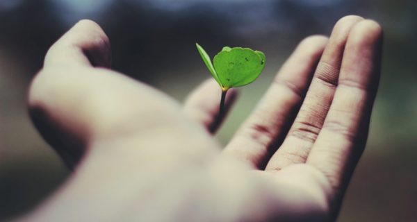 The Ultimate Life-Giver