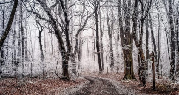 A Journey of Virtues: Reflections of Advent Ideas in The Lord of the Rings
