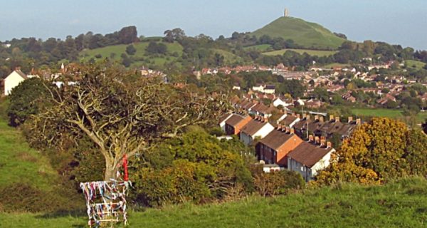 Sacred Chalice, Blooming Staff: The Legend of the Glastonbury Thorn