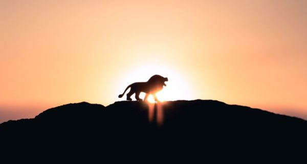 Death and the Lion: A Crossover Serial – Chapter 5: Tardy Explanation