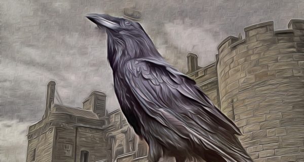 The Ravens