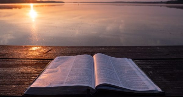 Every Page is Open to the Sun