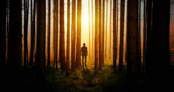 Where the Shadows Lie: The Problem of Evil according to Tolkien