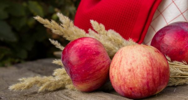 The Minstrel and the Apple: A Story of Avalon and Robin Hood