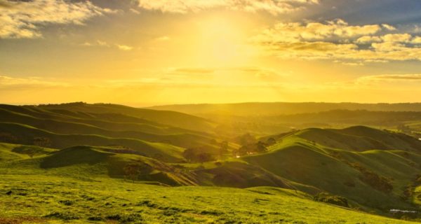 A Light to the Nations: A Reflection on Isaiah’s Prophecy