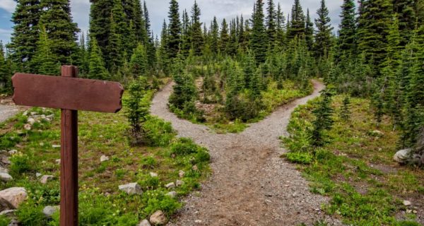 A Fork in the Road: A Lord of the Rings Story