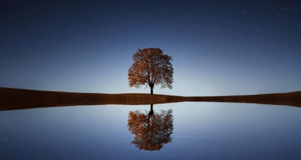 Two Worlds