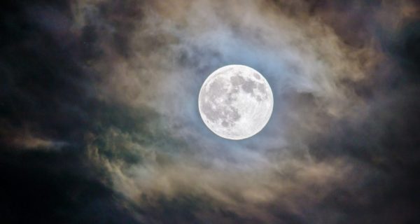 Winter Moonlight