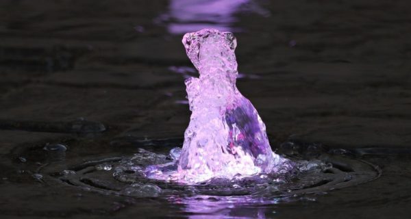 The Fairy Fountain