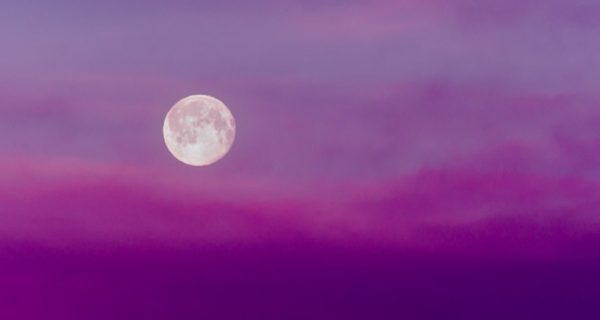 News and Moon News