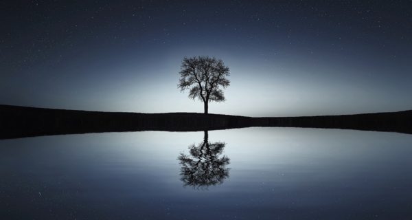 Dark Waters