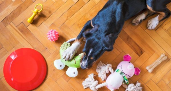 Christmas Dog Toys