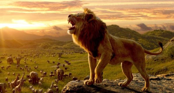 Leaves: A Chronicles of Narnia Poem