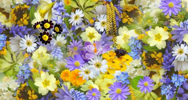 Spring Drabbles