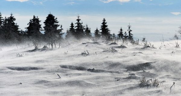 Winter Wind