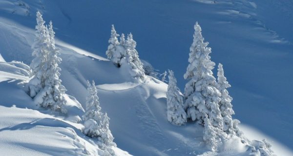 Is Winter Going to be Harsh?