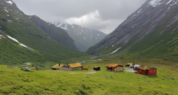 What Roles Did Women Play in Pagan Scandinavian Society?