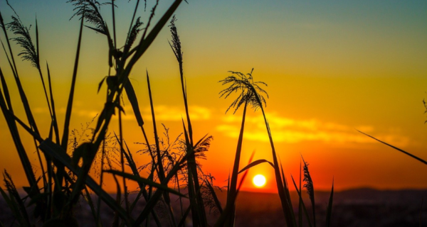 The Theory and Practice of Summer