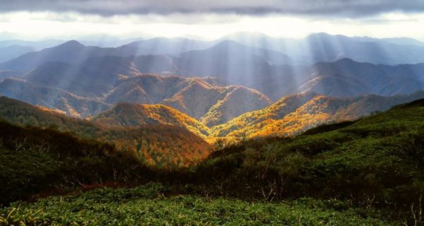 Lovescape: Meditatations on the Saints of October