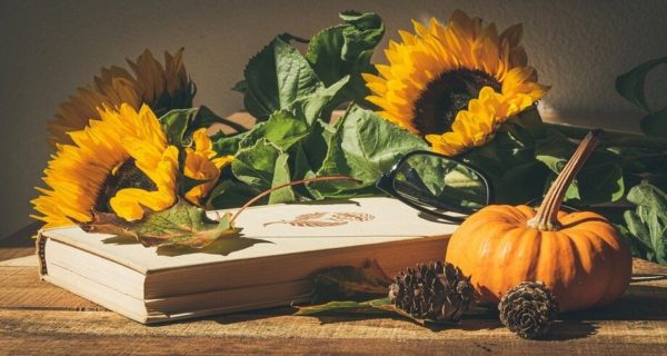 Autumn Adventures – The First of Autumn: 01