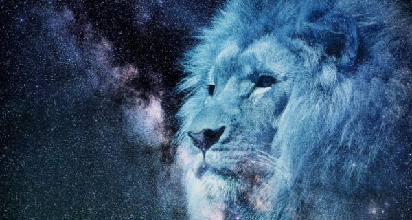The Cost to Follow the Lion-Chapter Four: Mrs. Pevensie