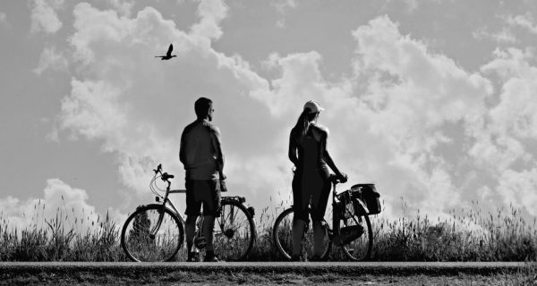Freedom to do What, Exactly?: C.S. Lewis and the Foundational Principle