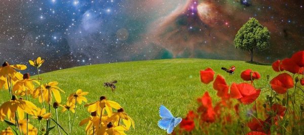 Why I Believe in God
