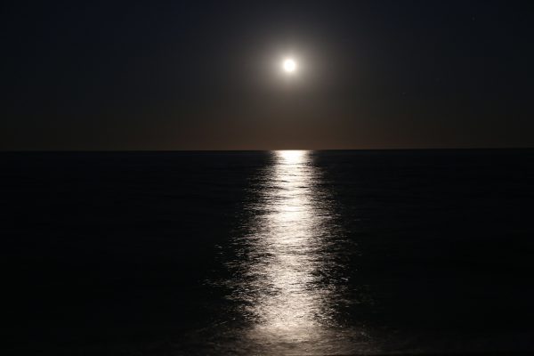 Starry Eyed, No Sleep – Part 2: Light the Way Home
