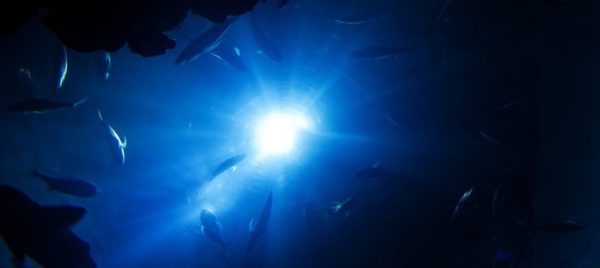 Mysteries of the Deep