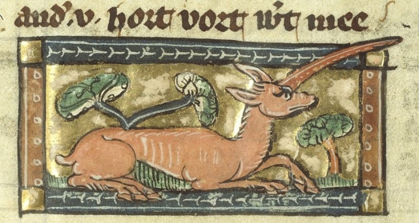 Medieval unicorn illustration. Jacob van Maerlant/Wikimedia Commons