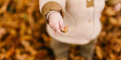 child in brown sweater holding brown dried leaf