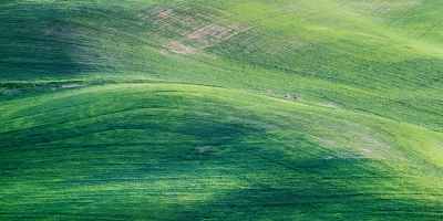 green mountain painting