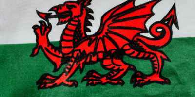 red and black dragon logo