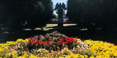 Flower bed in botanical gardens at Kosice City, Slovakia.