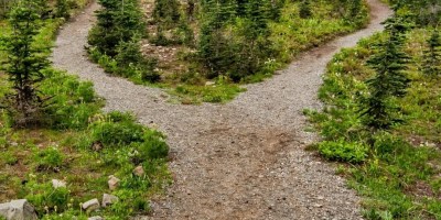 Fork in path, surrounded by forest. Photo by James Wheeler: https://www.pexels.com/photo/photo-of-pathway-surrounded-by-fir-trees-1578750/