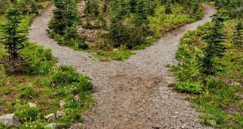 Fork in path, surrounded by forest. Photo by James Wheeler: https://www.pexels.com/photo/photo-of-pathway-surrounded-by-fir-trees-1578750/
